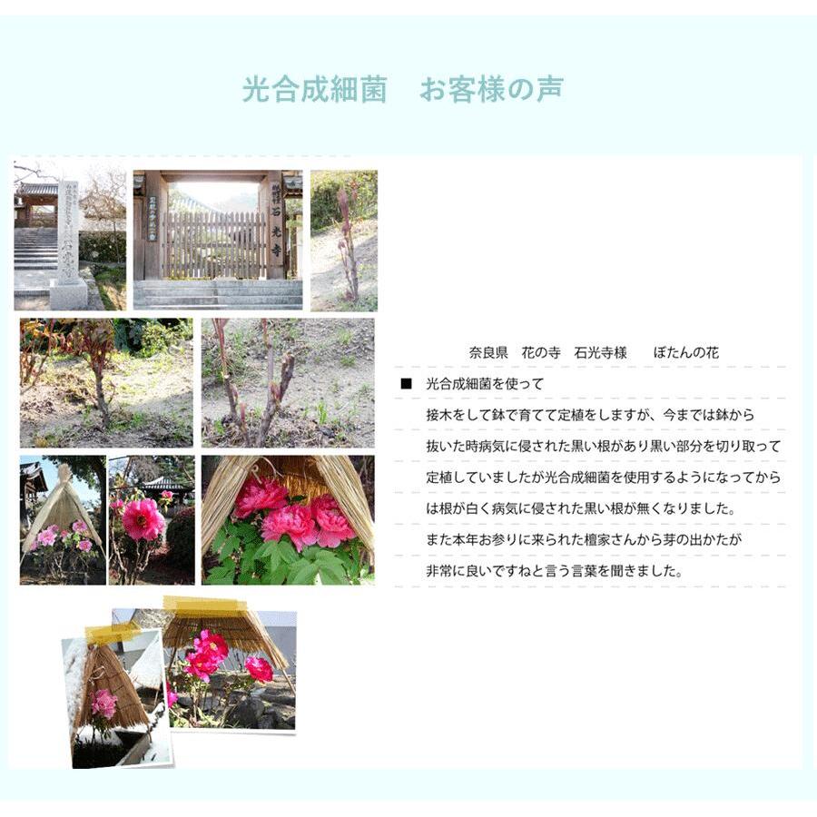 光合成細菌10L 培養セット沖縄、発送不可 PSB PNSB 培養 光合成細菌 培養資材 培養 バクテリア 基材 培地 培養基 農業 園芸 ガーデンニグ 畜産 牛 豚 鳥 鶏 |  | 09