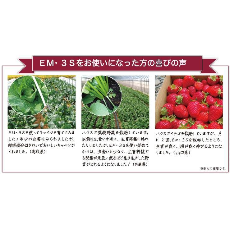 光合成細菌+バチルス強化型　EM・3S 500ml【一部送料無料】【有機JAS適合資材】 em EM EM生活 微生物 栽培 野菜 水質 土作り 活性液 ガーデニング |  | 04