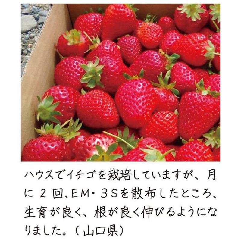 光合成細菌+バチルス強化型　EM・3S 500ml【一部送料無料】【有機JAS適合資材】 em EM EM生活 微生物 栽培 野菜 水質 土作り 活性液 ガーデニング |  | 05