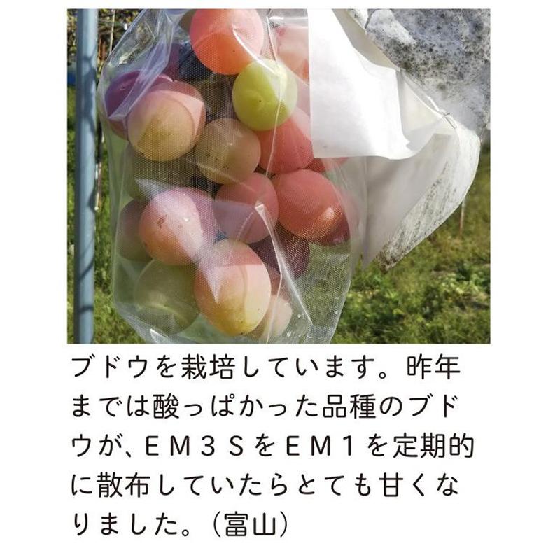 光合成細菌+バチルス強化型　EM・3S 500ml【一部送料無料】【有機JAS適合資材】 em EM EM生活 微生物 栽培 野菜 水質 土作り 活性液 ガーデニング |  | 06