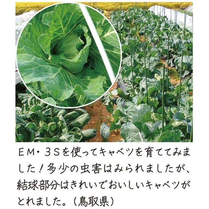 光合成細菌+バチルス強化型　EM・3S 500ml【一部送料無料】【有機JAS適合資材】 em EM EM生活 微生物 栽培 野菜 水質 土作り 活性液 ガーデニング |  | 07