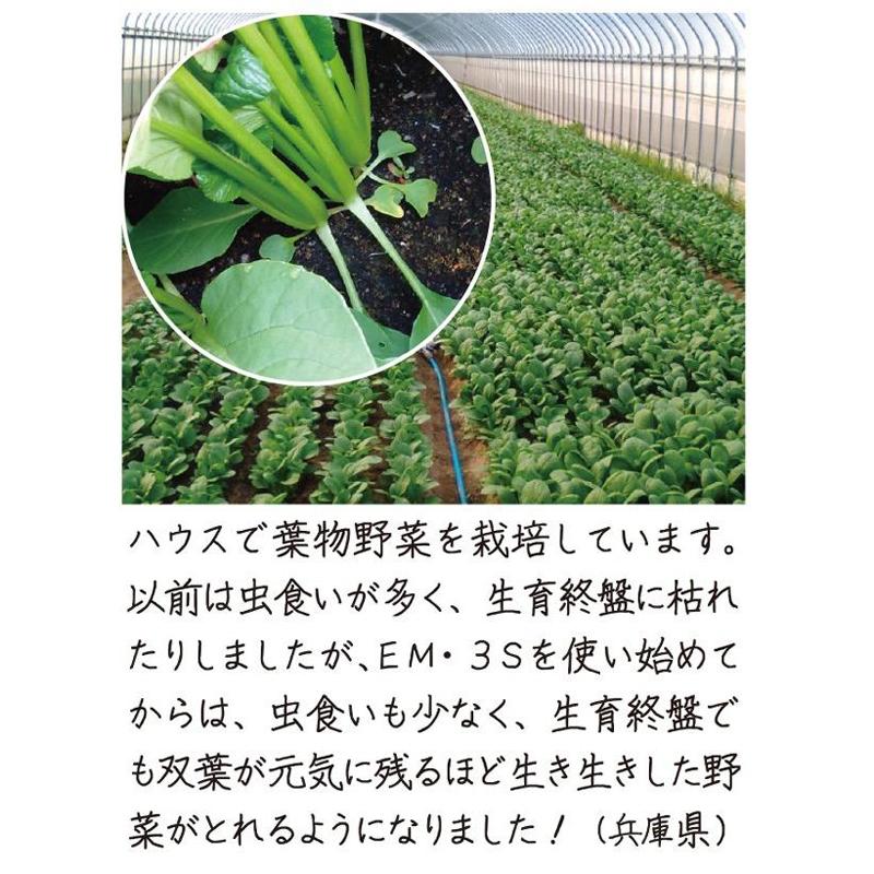 光合成細菌+バチルス強化型　EM・3S 500ml【一部送料無料】【有機JAS適合資材】 em EM EM生活 微生物 栽培 野菜 水質 土作り 活性液 ガーデニング |  | 08