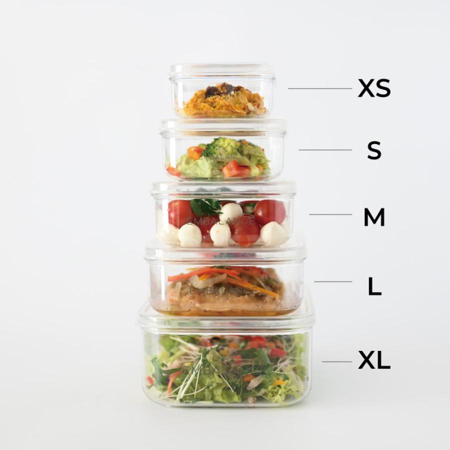 エンバランス　クリアコンテナ S 620ml 鮮度 保持容器 食洗機対応 冷凍OK BPA FREE プラスチック 鮮度 保存 新鮮 エンバランス容器 鮮度保持容器 食品 保存 |  | 05
