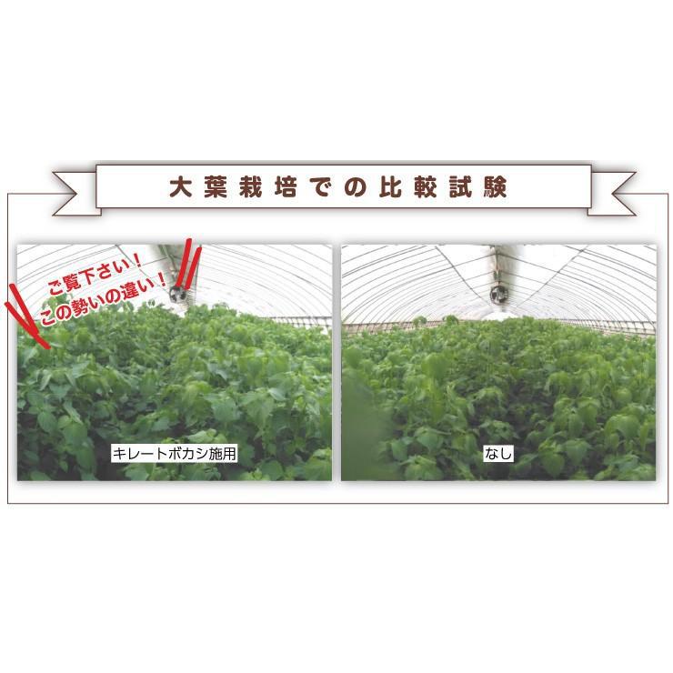 鉄炭発酵EMボカシ　キレートボカシ10kg 送料無料 【直送品】 em EM EM生活 微生物 栽培 野菜 水質 土作り 活性液 ガーデニング 家庭菜園 無農薬 有機栽培 |  | 05