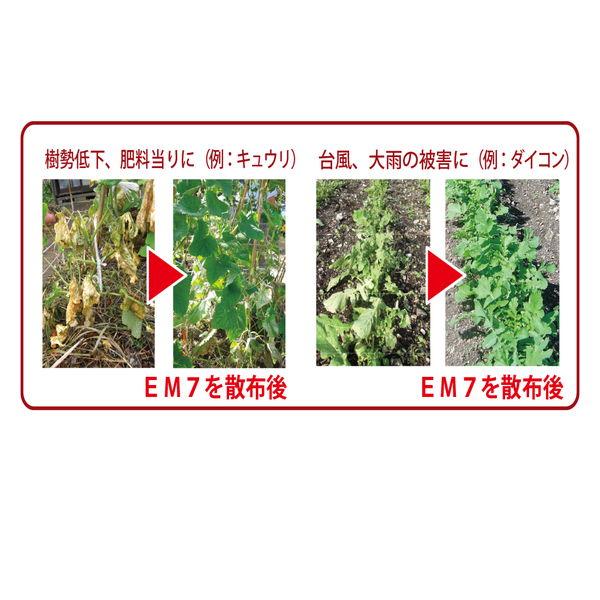 植物活力剤 EM7 80ｍｌ 有機JAS適合 em7 EM EM生活 イーエムセブン 微生物 栽培 野菜 水質 土作り 活性液 ガーデニング 家庭菜園 無農薬 有機栽培 |  | 03