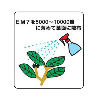 植物活力剤 EM7 80ｍｌ 有機JAS適合 em7 EM EM生活 イーエムセブン 微生物 栽培 野菜 水質 土作り 活性液 ガーデニング 家庭菜園 無農薬 有機栽培 |  | 04