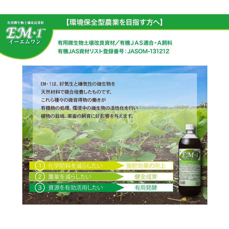 ＥＭ1 1L 有用微生物土壌改良資材 有機JAS適合資材 em1 EM EM生活 イーエムワン 微生物 栽培 野菜 水質 土作り 活性液 ガーデニング 家庭菜園 無農薬 有機栽培 |  | 01