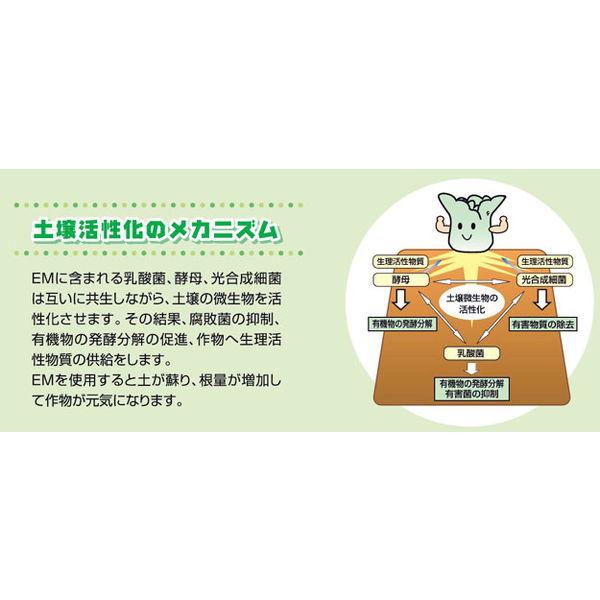 ＥＭ1 10L 有用微生物土壌改良資材 有機JAS適合資材 メーカー直送品 em1 EM EM生活 イーエムワン 微生物 栽培 野菜 水質 土作り 活性液 ガーデニング 家庭菜園 |  | 02
