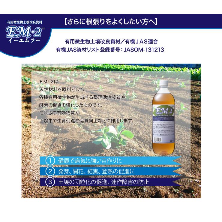 EM2号 1L em2 EM EM生活 イーエムツー 微生物 栽培 野菜 水質 土作り 活性液 ガーデニング 家庭菜園 無農薬 有機栽培｜emtec｜02