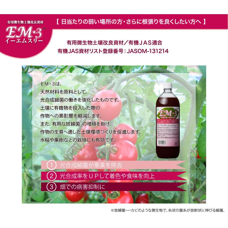 EM3号 10Ｌ メーカー直送品 キャンセル不可 em3 EM EM生活 イーエムスリー 微生物 栽培 野菜 水質 土作り 活性液 ガーデニング 家庭菜園 無農薬 有機栽培 |  | 01
