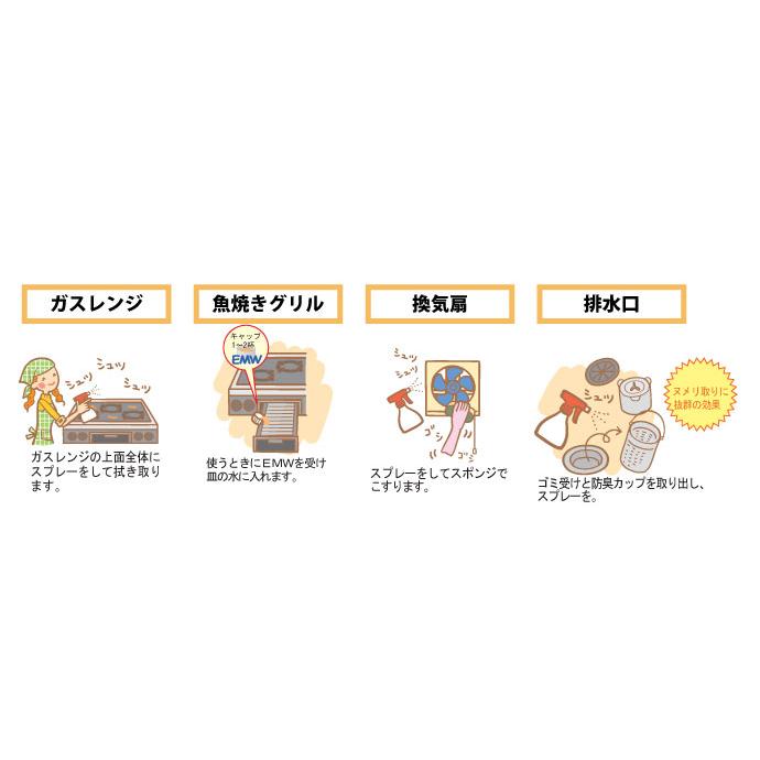 ハウスケア用発酵液 EMW 500ｍｌ 5本セット スプレー付き 送料無料 emw EM EM生活 イーエムダブリュー 家庭用洗剤 消臭剤 マルチクリーナー 多目的洗浄剤 |  | 02