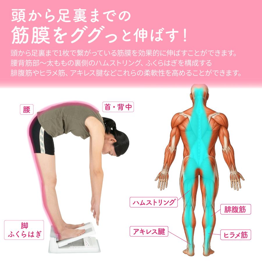 ストレッチボード 柔軟ボード 前屈 アサヒ ストレッチングボード