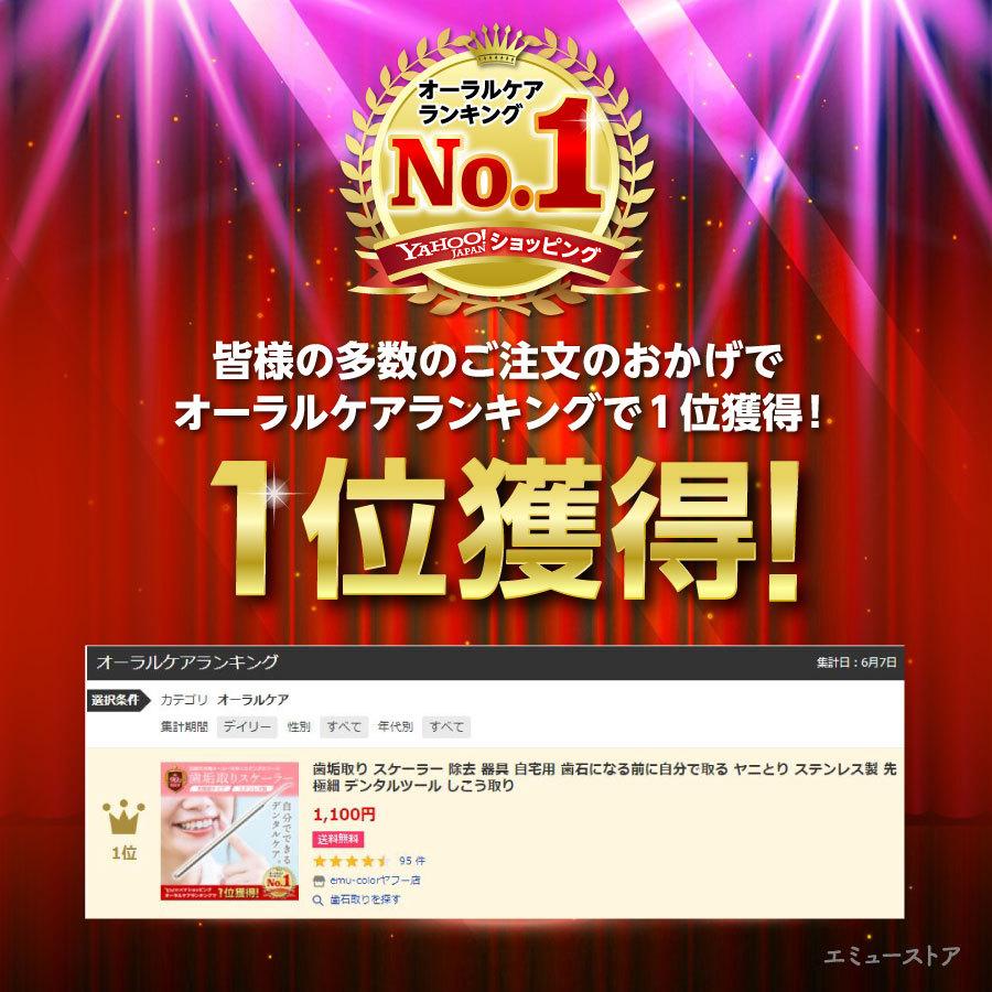 歯垢取り スケーラー 除去 器具 自宅用 歯石になる前に自分で取る