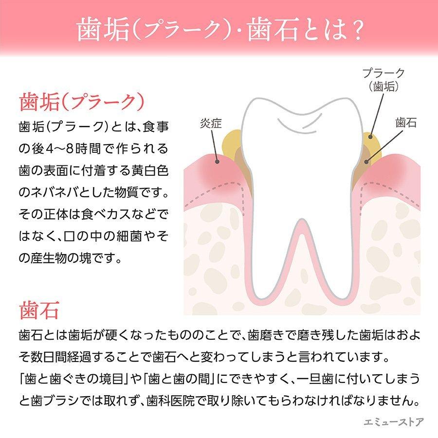 歯垢取り スケーラー 除去 器具 自宅用 歯石になる前に自分で取る ヤニとり ステンレス製 先極細 デンタルツール しこう取り M 019 Emu Colorヤフー店 通販 Yahoo ショッピング