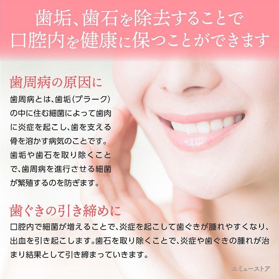 歯垢取り スケーラー 除去 器具 自宅用 歯石になる前に自分で取る ヤニとり ステンレス製 先極細 デンタルツール しこう取り M 019 Emu Colorヤフー店 通販 Yahoo ショッピング