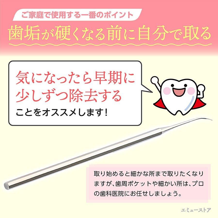 歯垢取り スケーラー 除去 器具 自宅用 歯石になる前に自分で取る