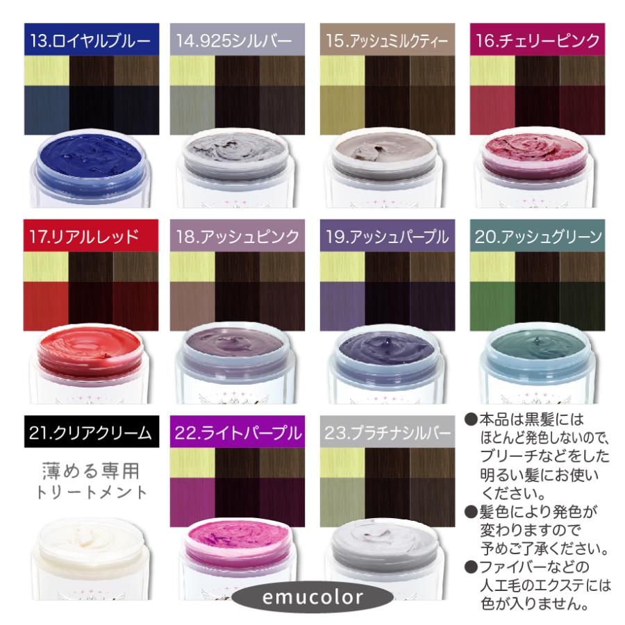 カラーバター エンシェールズ ヘアカラー トリートメント カラー