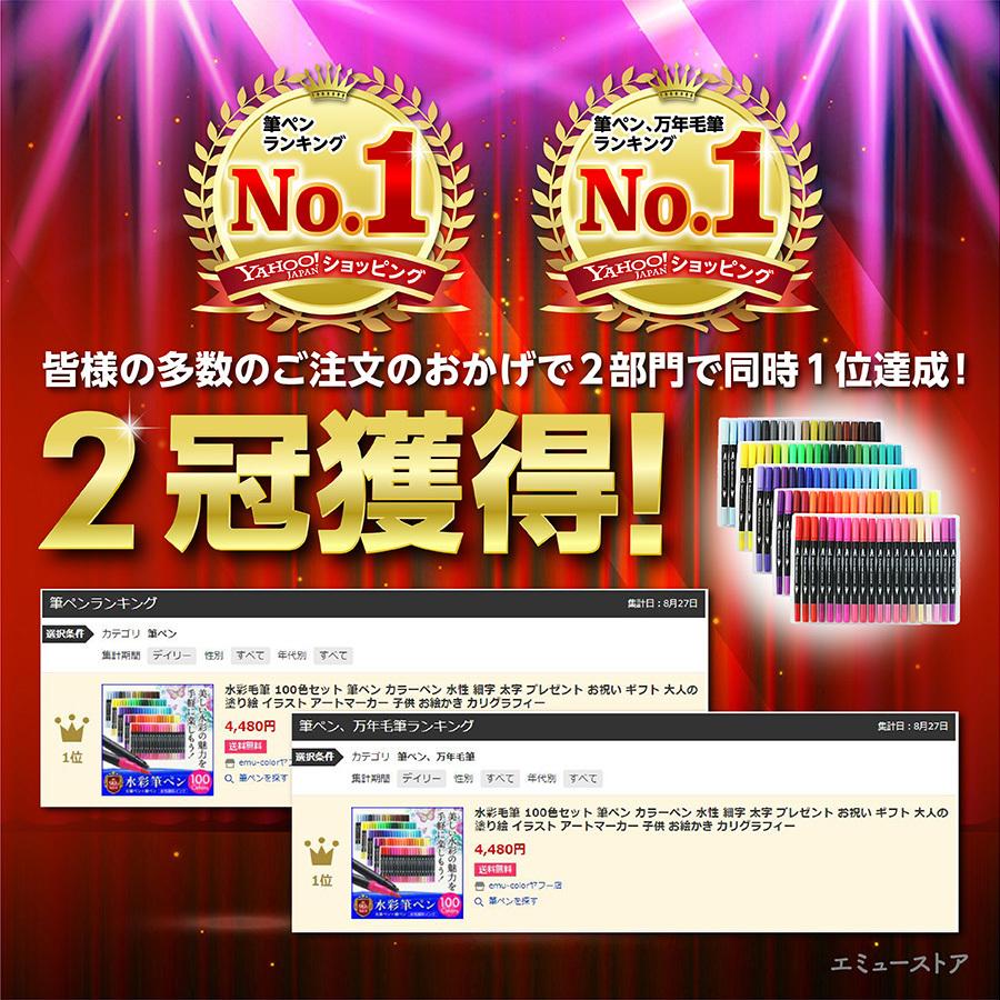 水彩 筆ペン カラーペン 100色セット 水性 細字 太字 プレゼント