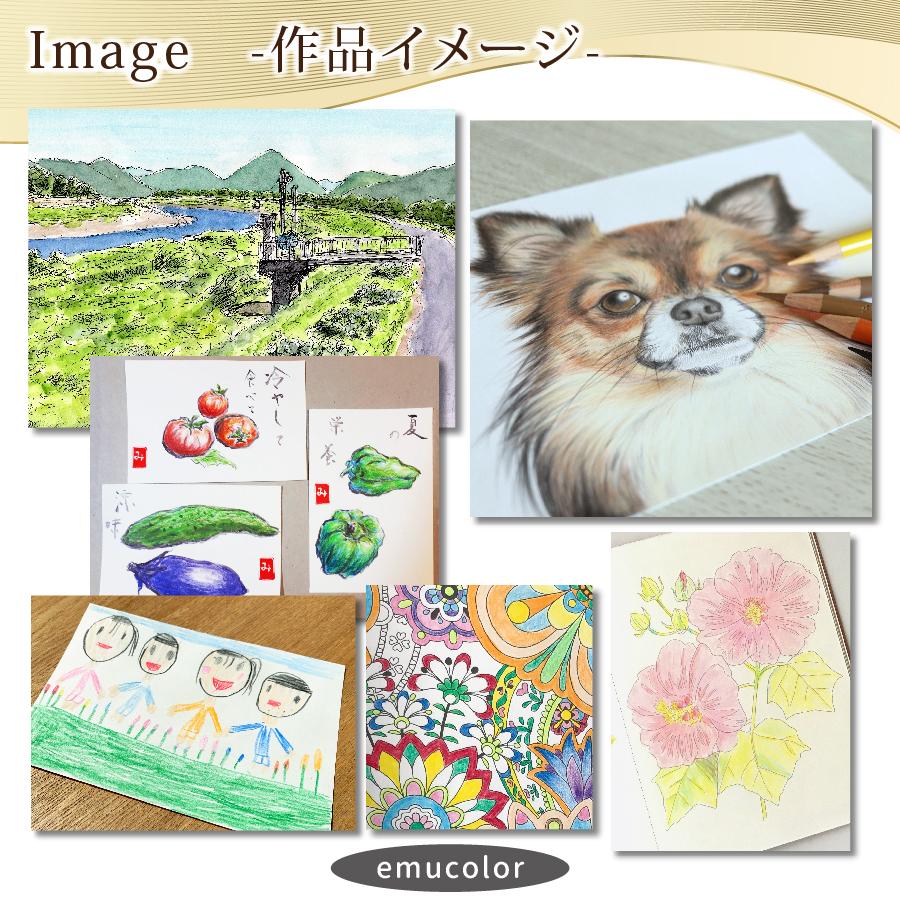 色鉛筆 120色 セット 油性 収納 ケース 子供 小学生 お絵かき 大人の塗り絵 画材セット｜emu-color｜11