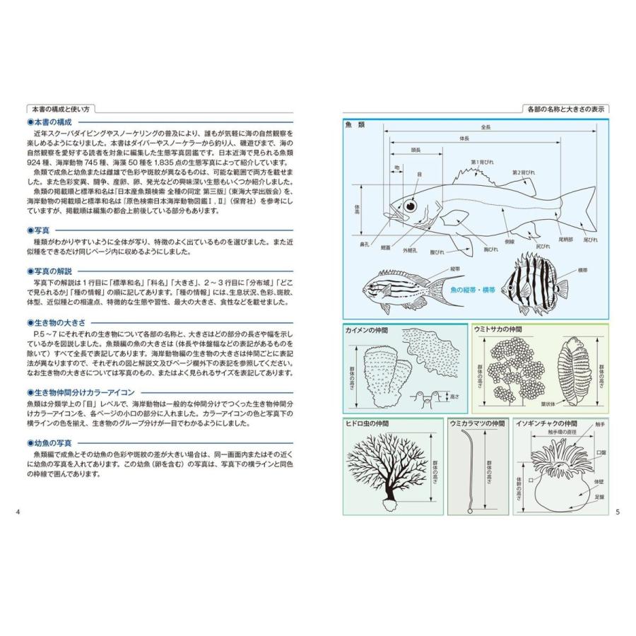 期間限定特価 日本の海水魚と海岸動物図鑑 1719種 Emu365 通販 Yahoo ショッピング 海外輸入 Www Nc Iec Com