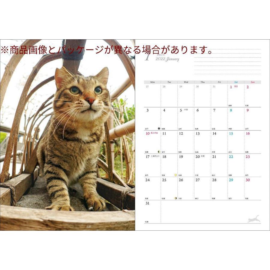 2022ノートカレンダー ねこ ([カレンダー]) :gys01092838:emu365 