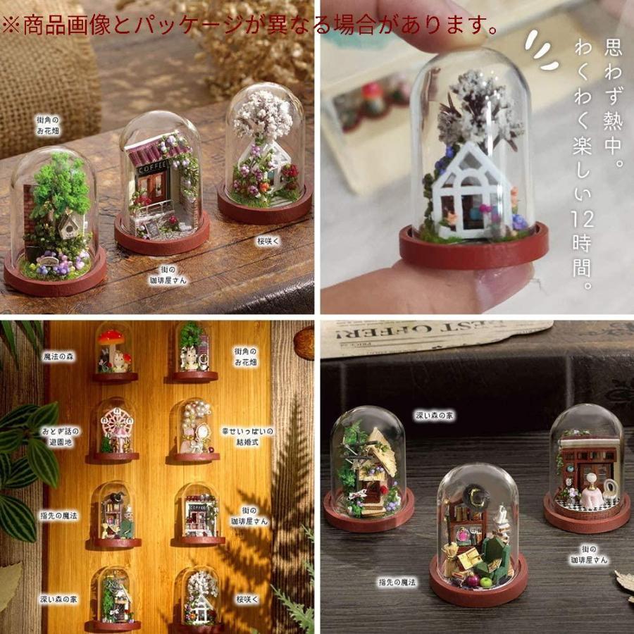 新作からsaleアイテム等お得な商品満載 模型 プラモデル Moin Moin ドールハウス ミニチュア 手作りキット セット 日本語 説明書 Diy ミニ テラリウム 指先 手のひら サイズ 超 Www Threeriversofs Com