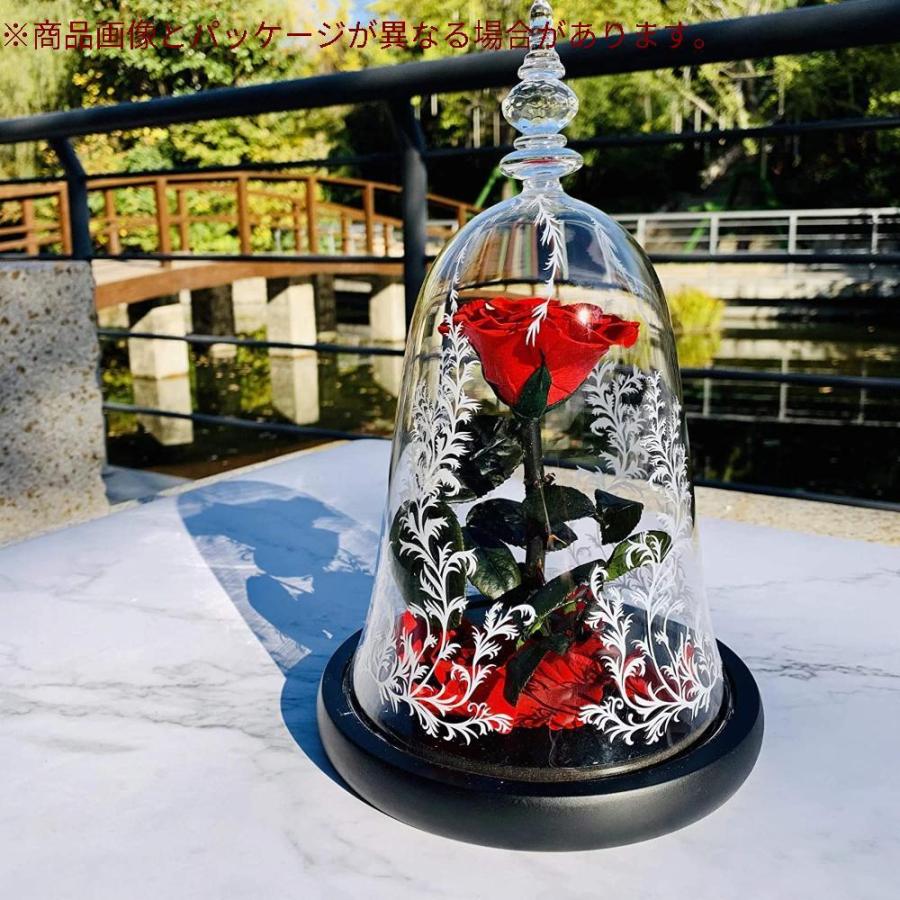 正規激安 Mahelen 美女と野獣 バラ プリザーブドフラワー バレンタイン ホワイトデー 母の日 クリスマス 敬老の日 母の日 父の日 枯れない花 薔薇 新しい到着 Goodhuman Eco