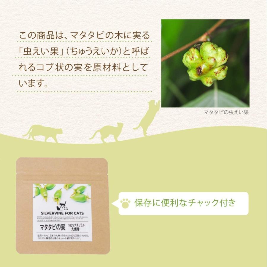 極上】10g マタタビ粉 ハーブ 乾燥粉末 mn.jpg