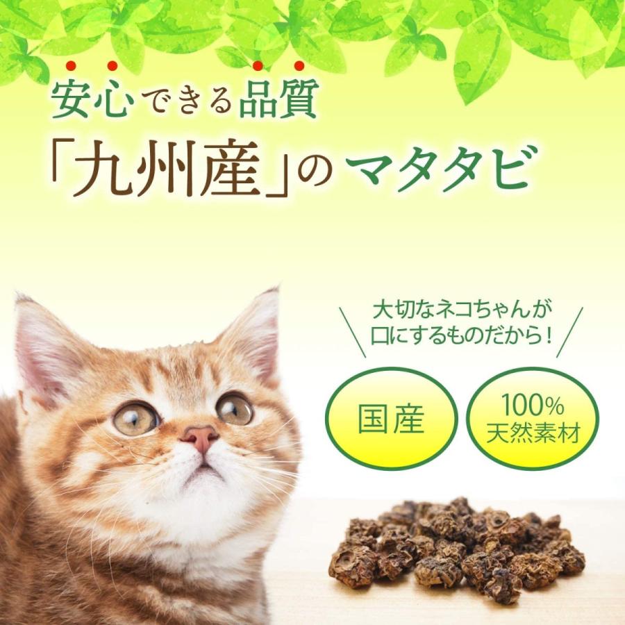 猫のまたたびページ またたび抽出液スプレー 20ml: ペットクリエイトSDネット