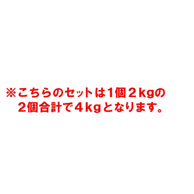 パワーリスト 計約4kg：約2kg×2個セット アンクルリストウエイト トレーニング リハビリ｜emuwai｜02