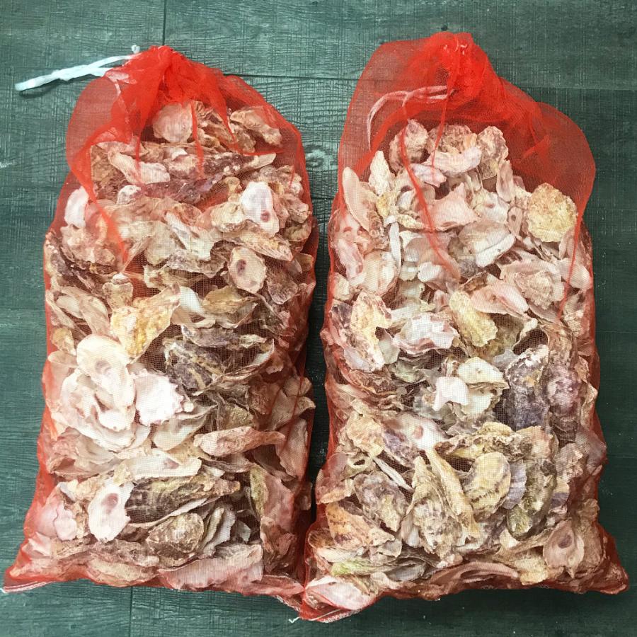 牡蠣殻 10kg 送料無料キャンペーン 飼育水のph ペーハー かきがら カキガラ 調整用