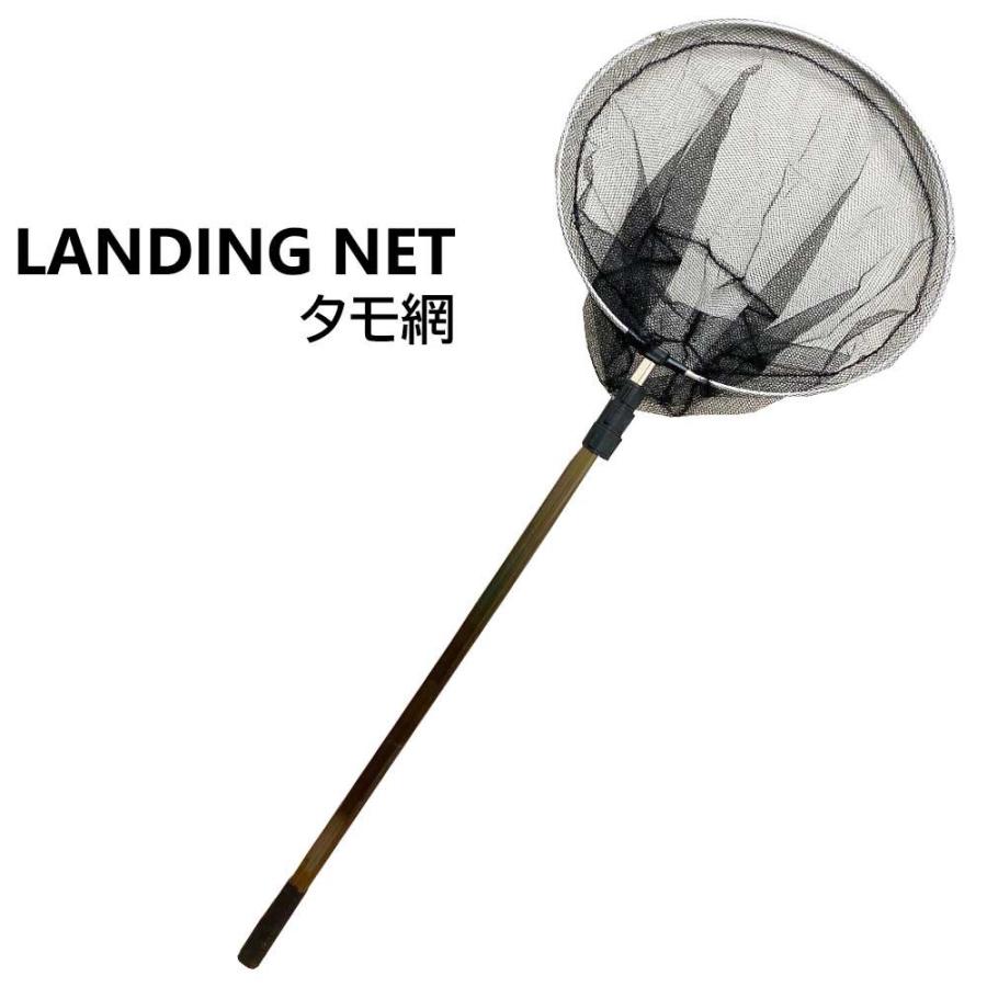 タモ（玉杢） タモ玉杢 - ツキ板屋GIFU