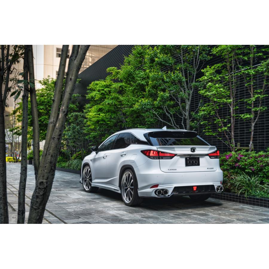 M'z SPEED 【M's】 レクサス 後期 20系 RX F-SPORT / version-L (2019