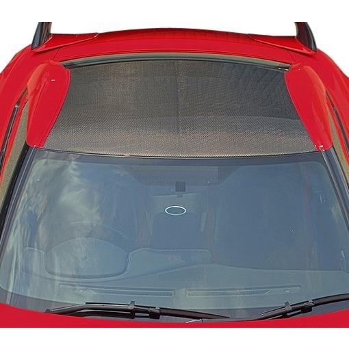 GT-R 【M's】 日産 R35 (2007.12-) Abflug ドライカーボン ルーフ