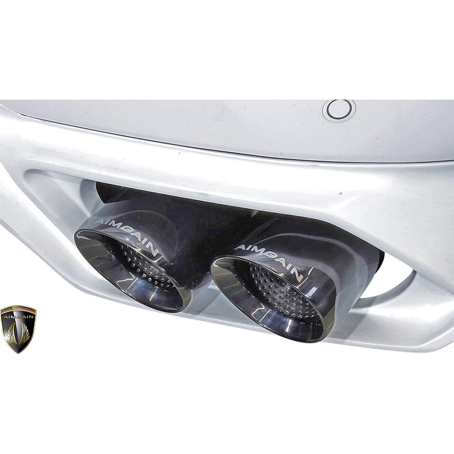 レクサス 【M's】 20系 RX200t F-SPORT (前期) AIMGAIN 純VIP