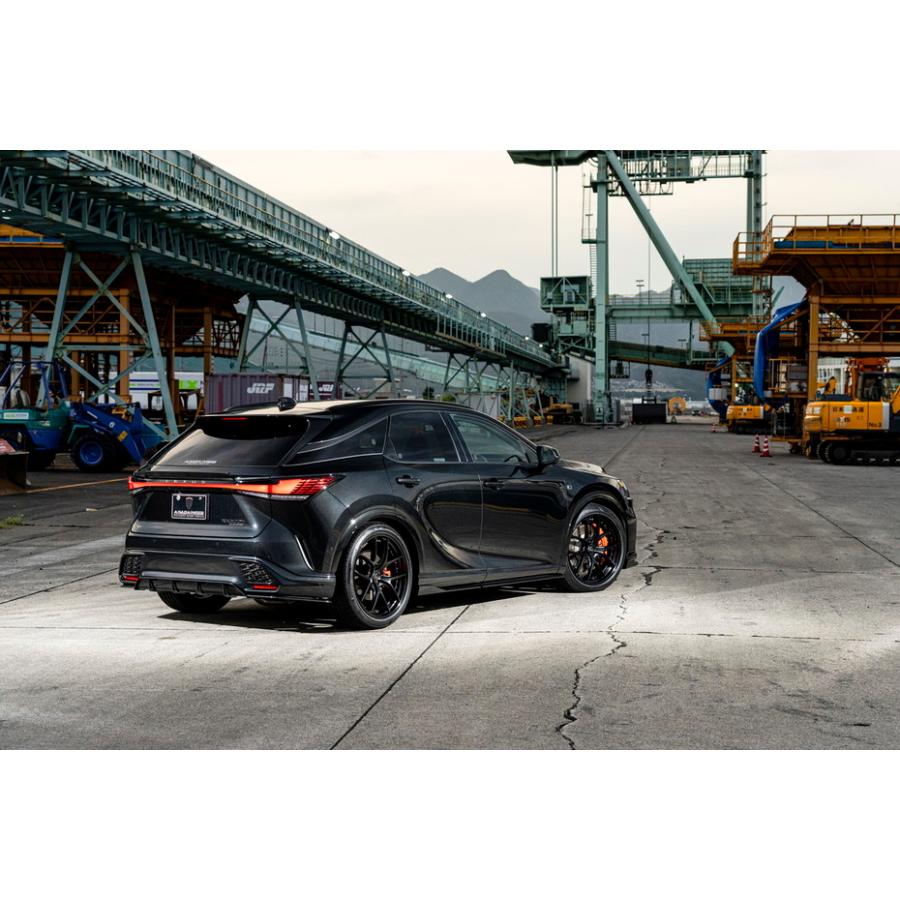 レクサス 【M's】 RX350 RX500h Fスポーツ 前期 TALH17 TALA15