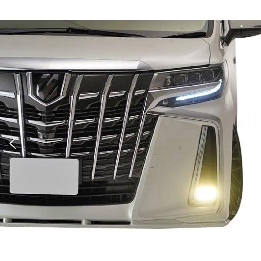 アルファード 【M's】トヨタ 30系 (後期) lb☆nation x ESPRIT