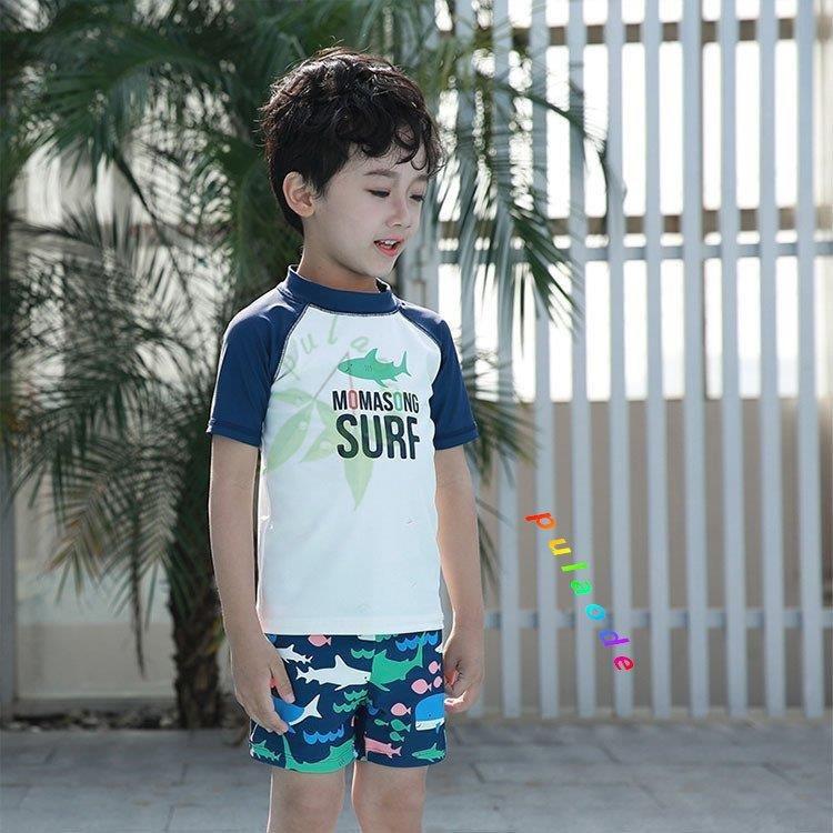 店 水着 子供 男の子 夏 子供服 キッズ おしゃれ セバレート 水着セット 半袖 ショートパンツ 日焼け防止 Uvカット スイムウェア ジュニア Cisama Sc Gov Br