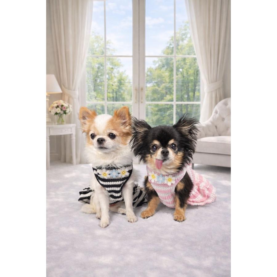 EMYLAND（エミーランド） 犬服 小型犬 ワンピース 春夏 ボーダー