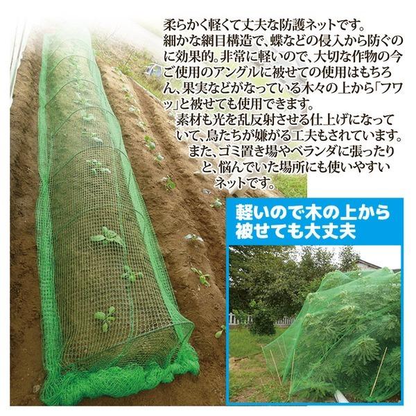 防護ネット 約幅2×長さ5m 日本製 軽量 丈夫 ふんわりグリーン ガーデニング用品 園芸用品 ゴミ置き場 ベランダ 虫除け 鳥除け｜emz-store｜03