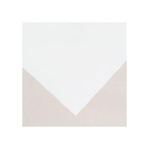 ソマール ジェトラス JP-D300PETフィルム両面マット加工 A2カット 1冊(100枚)(20175円)