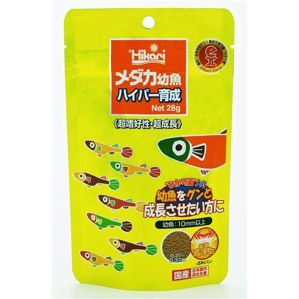まとめ メダカ幼魚ハイパー育成 28g ペット用品 10セット Wmwjnzf4sk Www Familyontour De