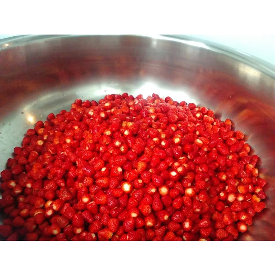 コンフィチュール・苺と木いちご/パキータ : Endehors - 通販 - Yahoo