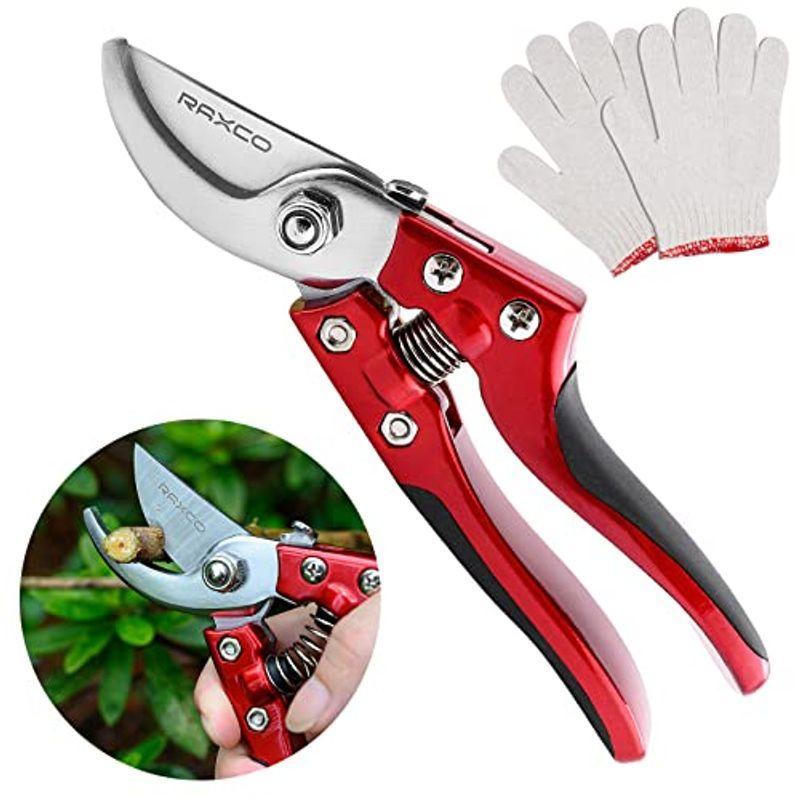 Raxco 枝 ガーデニング 日本スチール 枝切りはさみ 剪定鋏 枝切り鋏 せんていばさみ 剪定ばさみ 日本鋼製 剪定バサミ 剪定はさみ 農具その他 ランキング第1位 Www Mayama Org Mx