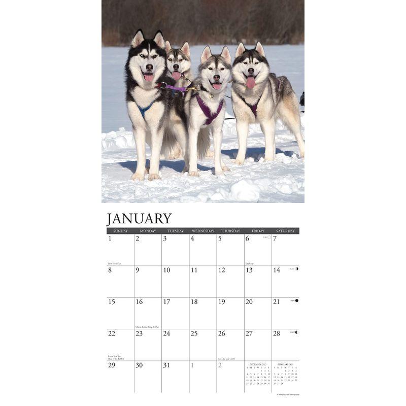 Just Siberian Huskies 2023 Wall Calendar｜en-office｜04