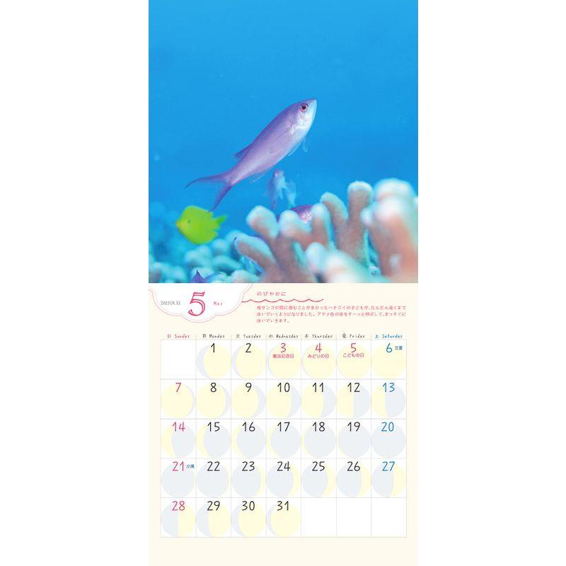 2023うみまーるミニムーンカレンダー `Smile−笑顔いっぱい海のともだち' (月の満ち欠け)｜en-office｜07