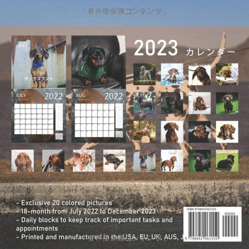 ダックスフント カレンダー 2023: 素晴らしいギフト18か月のカレンダー2023年の美しい写真｜en-office｜02