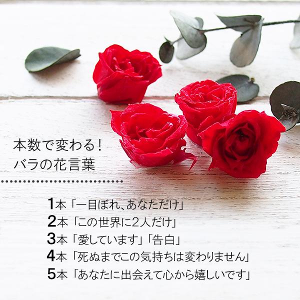 プロポーズ プレプロポーズ バラ4本 花束 結婚してください will you 
