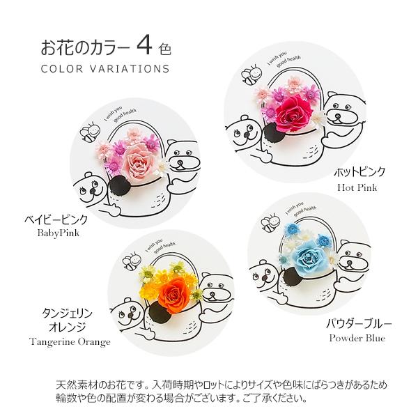 敬老の日 プレゼント ポスト投函 ギフト 花 メッセージカード