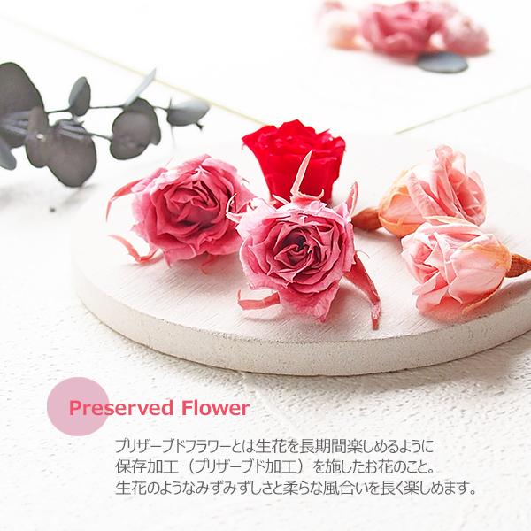 プロフ必読♡心奏mama’shop♬︎♡様ご確認用ベア＆ダイカットバラメモ658 母の日 花 メッセージカード プリザーブドフラワー バラ くま イラスト